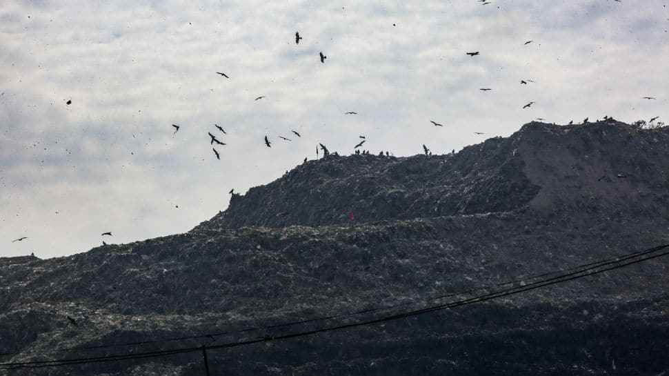 CPCB Flags Waste Crisis: Only 64% Of Delhi’s Daily Garbage Processed, Rest Ends Up At Landfills