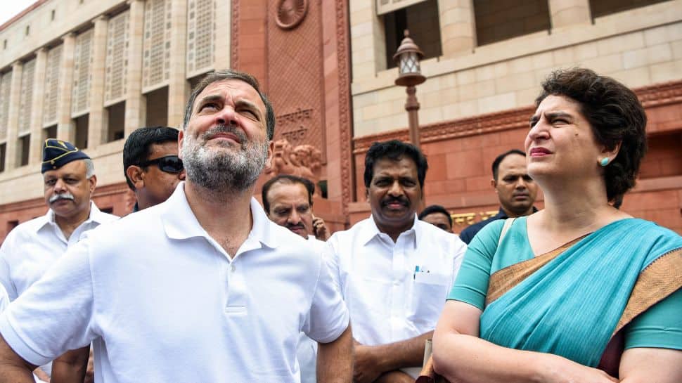 Slap On Congress Face: BJP Slams Rahul Gandhi, Cites Karnataka Survey To `Fact-Check` `Vote Chori` Claim