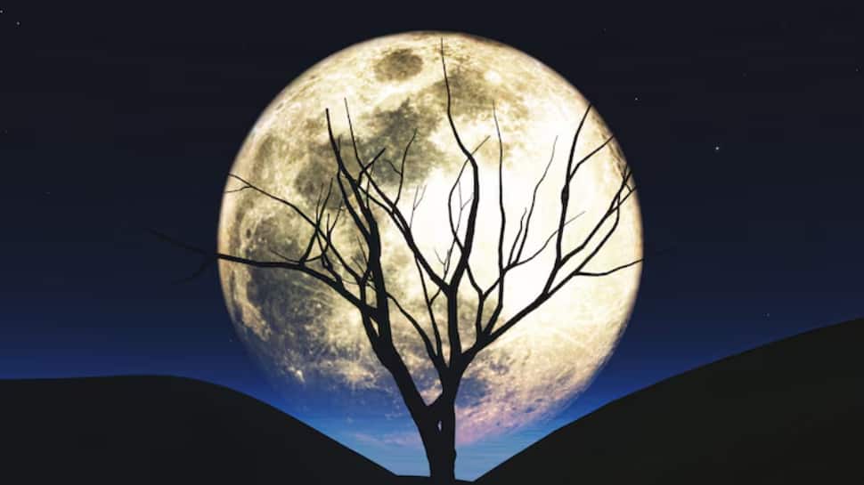 2026’s First Full Moon Tonight? Discover The Date, Historical Significance Of The Wolf Moon, And Why January’s Full Moon Is Unique And Bright