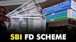 State Bank Of India Latest FD Rates, RD Rates, Special FD Rates January 2026
