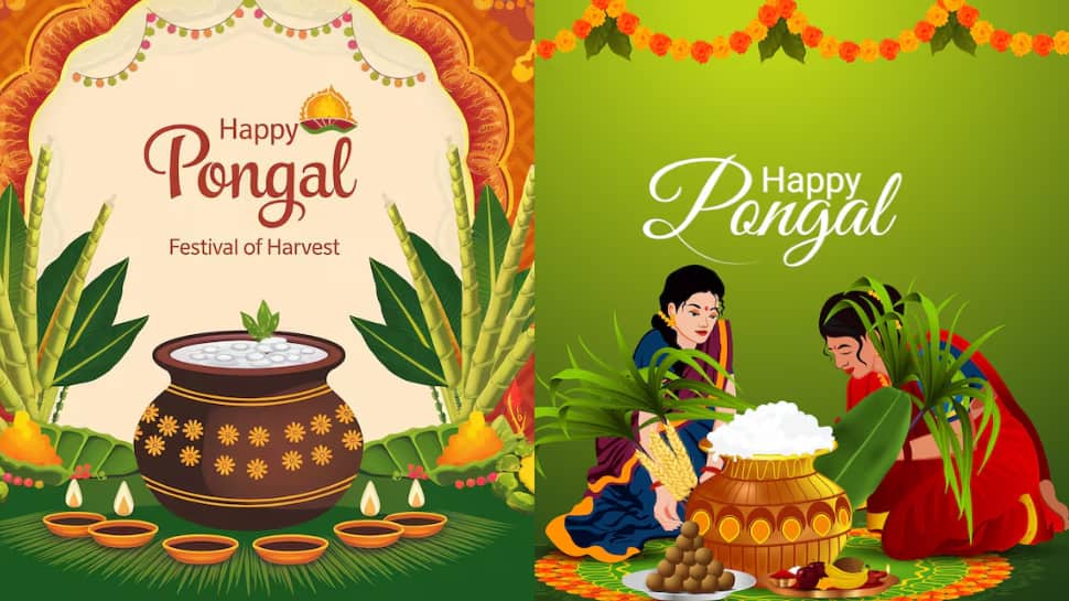 How Pongal 2026 Is Celebrated? Different Dates And Names To Day-Wise Rituals, Here’s Everything You Need To Know