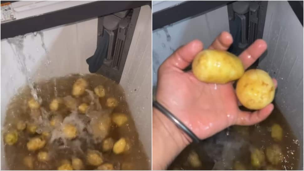 Ludhiana Man Washes Potatoes In Washing Machine: Viral `Desi Jugaad` Video Sparks Internet Debate
