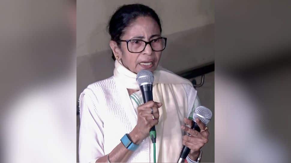 TMC MPs Protest Outside Amit Shah’s Office After ED Raids, Back Mamata Banerjee’s Vendetta Charge