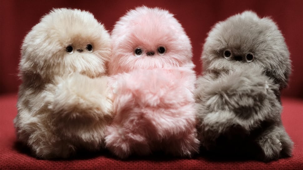 Meet Mirumi — Japan’s Adorable Charm Robot That’s Taking Over Social Media