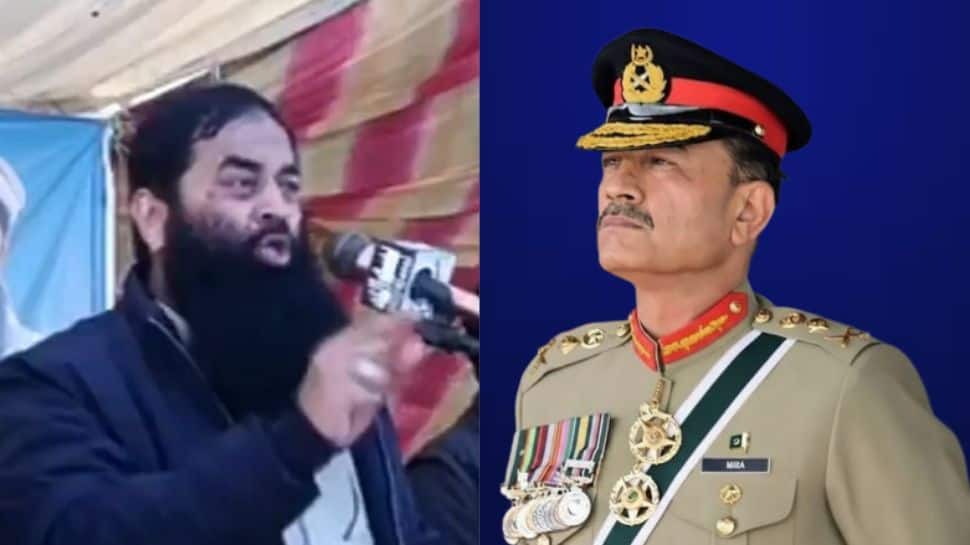 Pakistan's Terror Proxies Turn On Masters As LeT Commander Slams Sharif, Munir