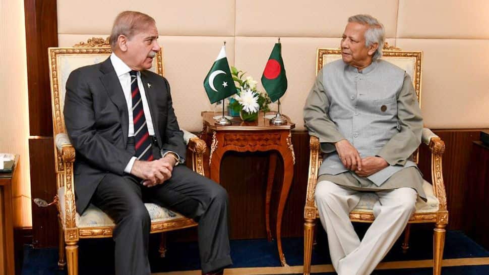 Homecoming Day Betrayed: Bangladesh`s Amnesia On The 1971 Genocide Amid Pakistan Embrace