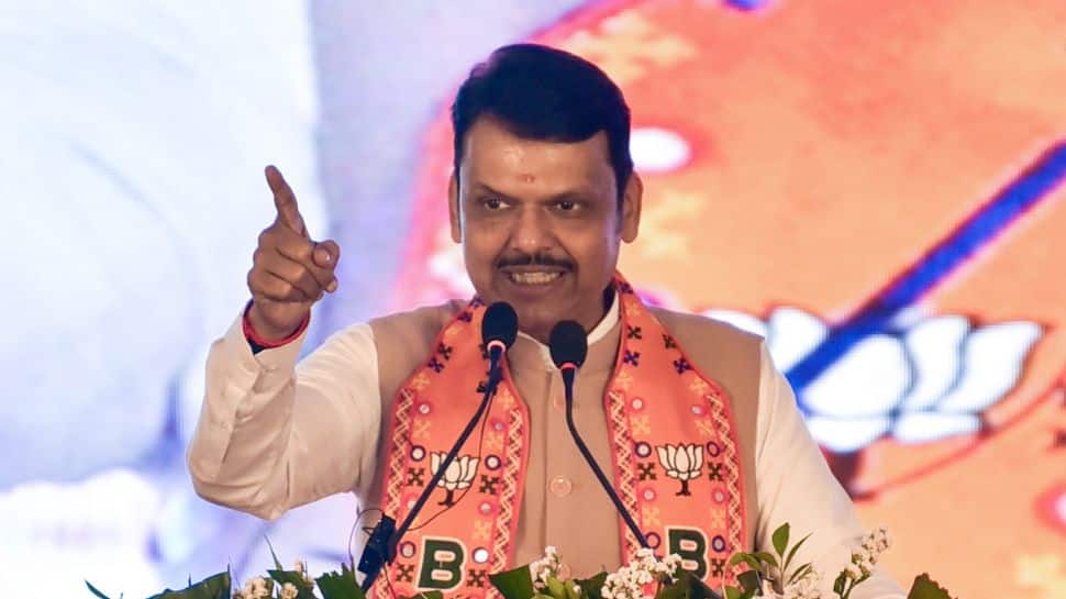 AI App, Detention Centres To Tackle Illegal Immigration: Maharashtra CM Fadnavis