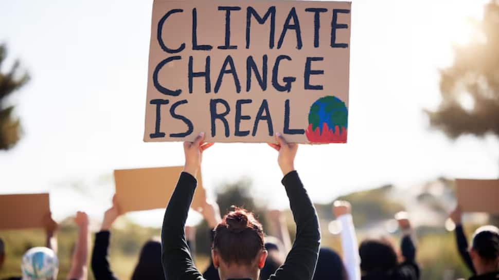 Record-Breaking Ocean Heat Is Fueling Climate Disasters And Scientists Say Worst Signals Are In The Seas