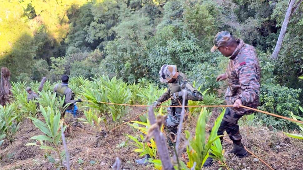 Explained: Indian Army`s Integrated Battle Groups Plan For China Border