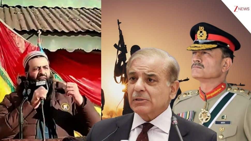 'Freedom Through Jihad, Not Begging': LeT Commander's Violent Threat As Terror Group Slams PM Sharif, Army Chief Munir