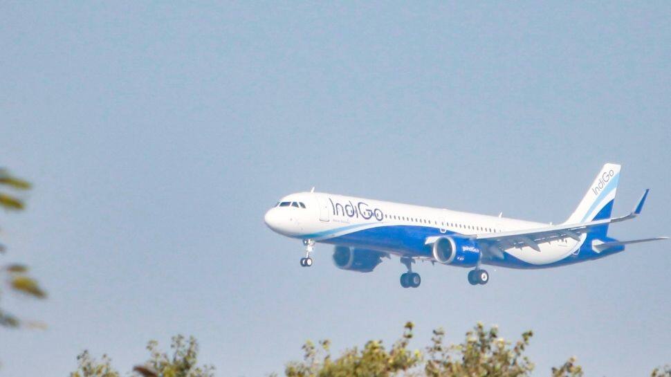 Author Neelesh Misra Calls Out IndiGo Over Alleged Mistreatment Of His Minor Daughter