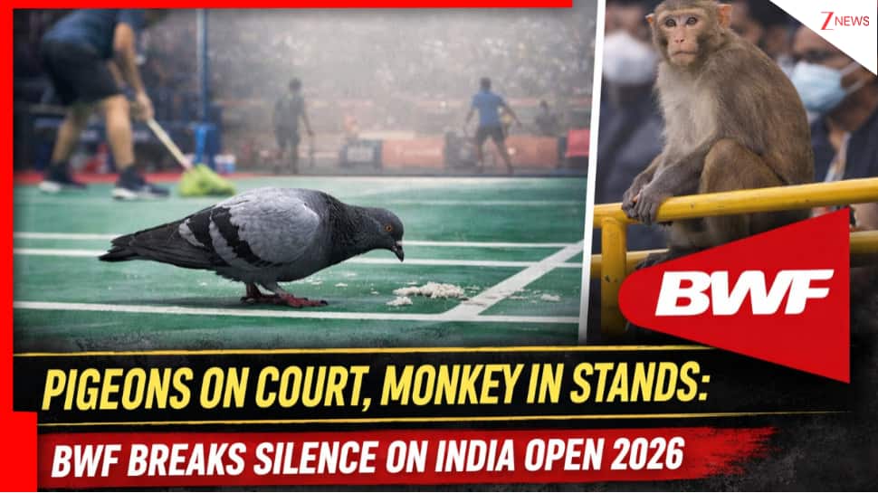 Pigeons' Poop On Court, Monkey In Stands; Toxic 'Delhi' Air: BWF Breaks Silence On Atrocious India Open 2026 Playing Conditions Amidst Massive Backlash