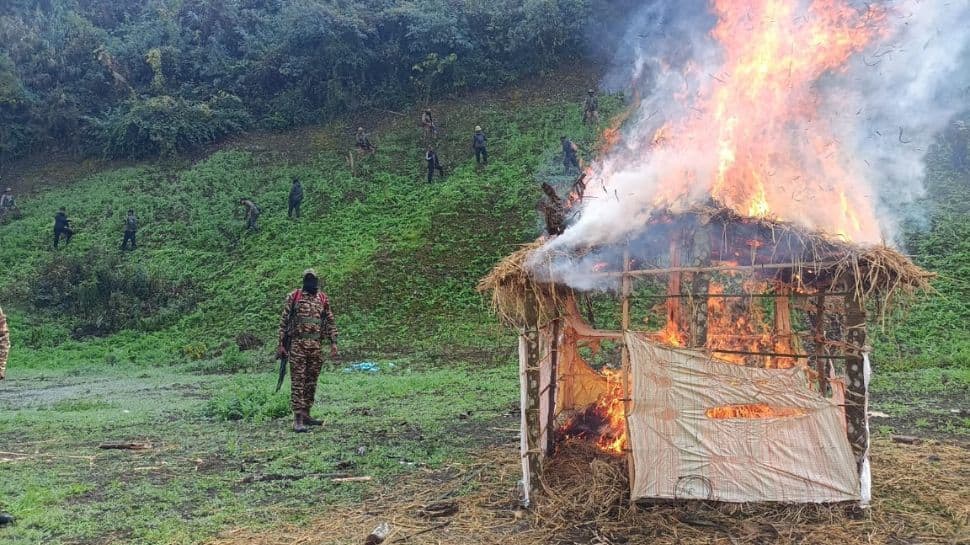 Security Forces Destroy 306 Acres Of Illegal Poppy Fields In Manipur