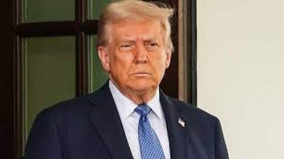 Trump, The Tariff King? US Customs Duty Collections Jump Over 230% To USD 264 Billion In 2025