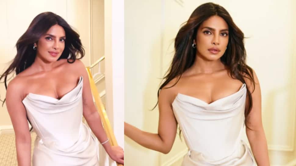 Quote Of The Day By Priyanka Chopra On Embracing Imperfection: 'Perfection Is Boring Anyway...'