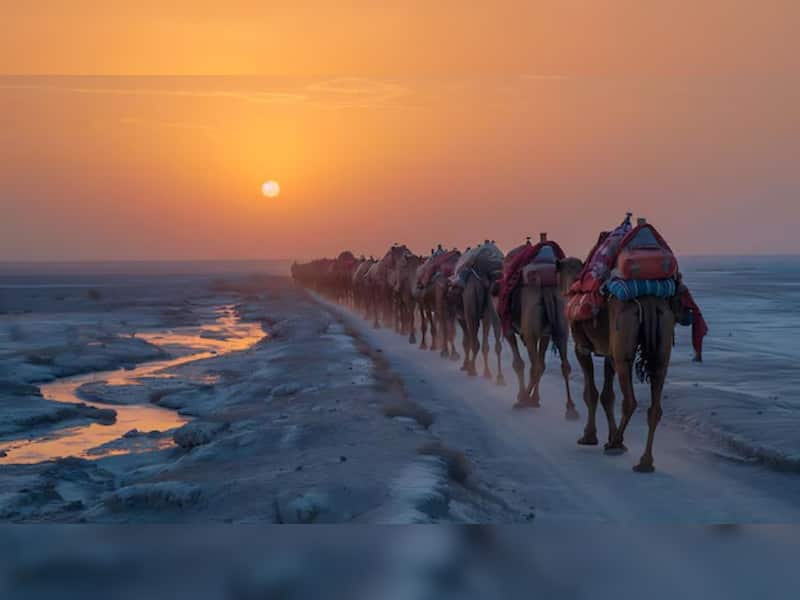 From White Salt Desert To Vibrant Villages: Explore Rann Of Kutch ...