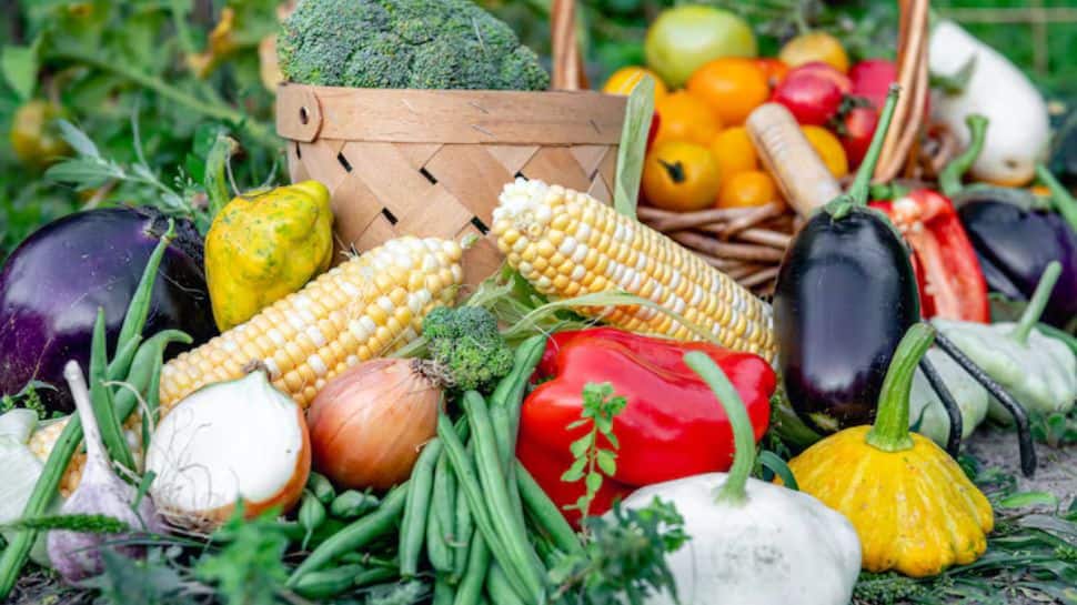 Why Does Malnutrition Remain `Alive’ Even When Dal–Rice Fills Stomach? Shocking Revelations In Think Tank Report