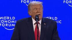 'Won't Use Force': Trump's Breather For NATO Allies On Greenland But...