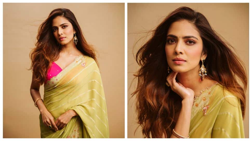 Why Is Malavika Mohanan Being Criticised? The Raja Saab Actress’ Remarks On Tamil And Telugu Actors ‘Not Reading Dialogues’ Spark Row