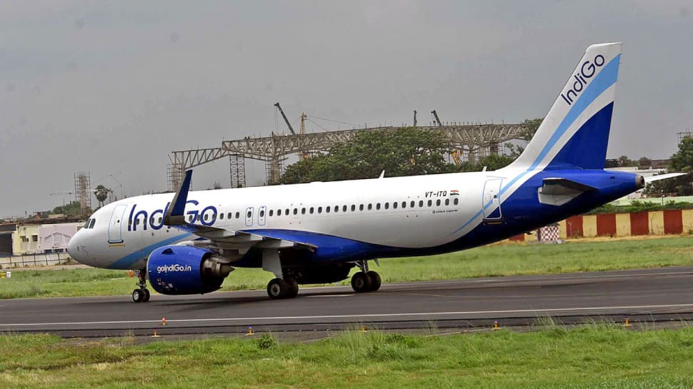 Action taken against IndiGo over mass flight cancellations, Centre tells Delhi HC