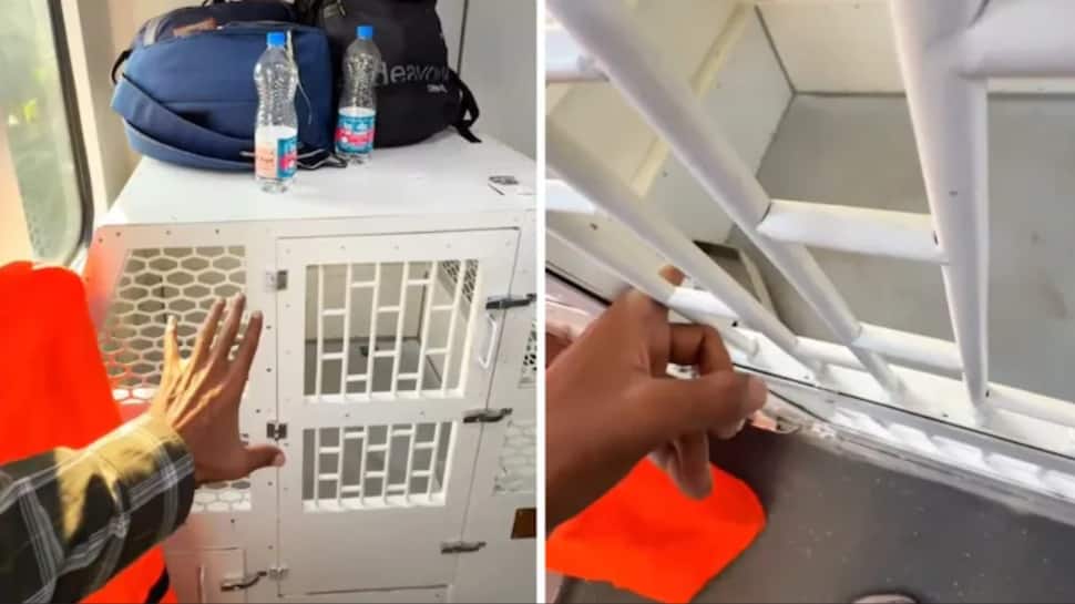 `Dog box` or pet paradise? Viral video of Vande Bharat sleeper`s pet facility sparks intense debate