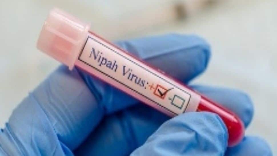 Nipah virus infections reported in India: Expert says no vaccine yet, no cases in Thailand | What you need to know