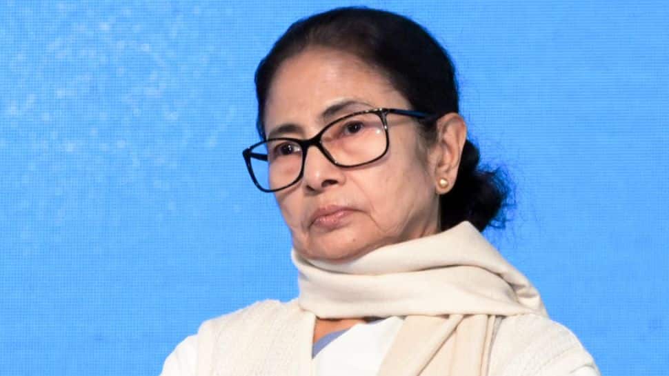 West Bengal CM Mamata Banerjee alleges conspiracy in Ajit Pawar plane crash, demands probe