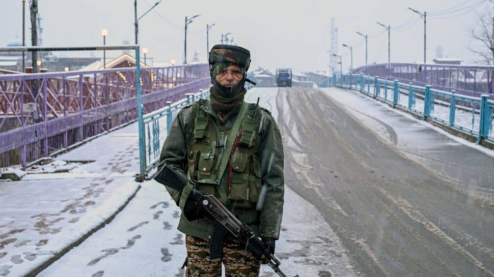 Traffic on Srinagar-Jammu highway, flight operations at Srinagar airport resume