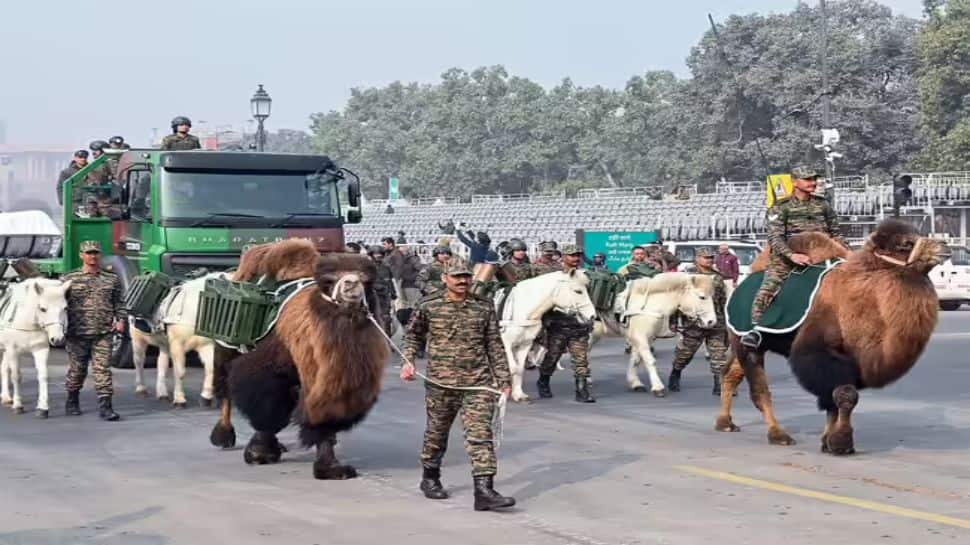 When machines fail at −30°C, why Indian Army uses two-humped camels in Ladakh