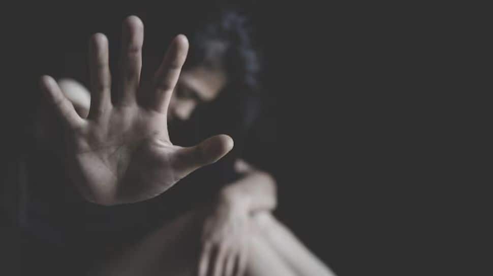 6 year old girl in Delhi raped by three boys; two accused arrested, third on run