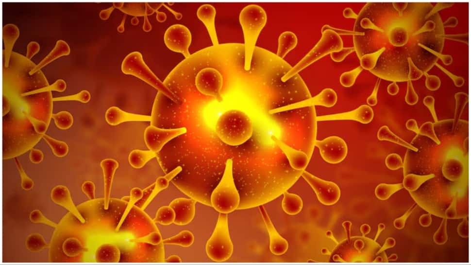 `Low risk, travel curbs not needed`: WHO reacts on Nipah virus cases in India