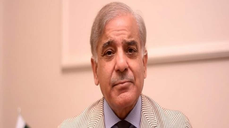 'Choti Khushiyan...': Former Indian cricketer mocks Shehbaz Sharif’s social media post after Pak vs Aus T20I