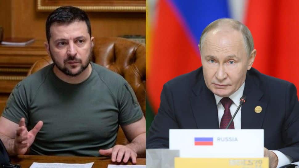 Ukraine will reciprocate if Russia halts attacks on energy sectors: Zelensky