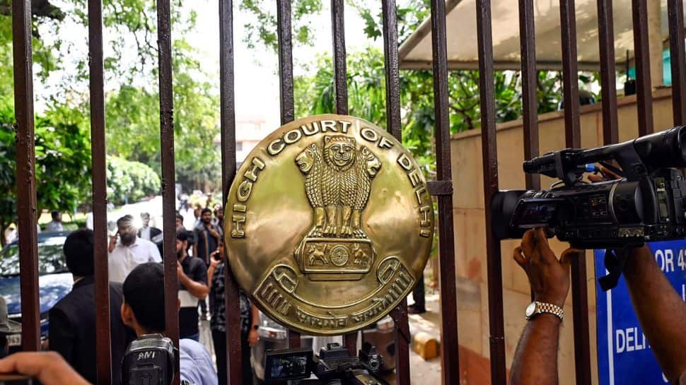 Delhi HC orders fresh hearing after bail denied over ‘Voluminous Pleadings’