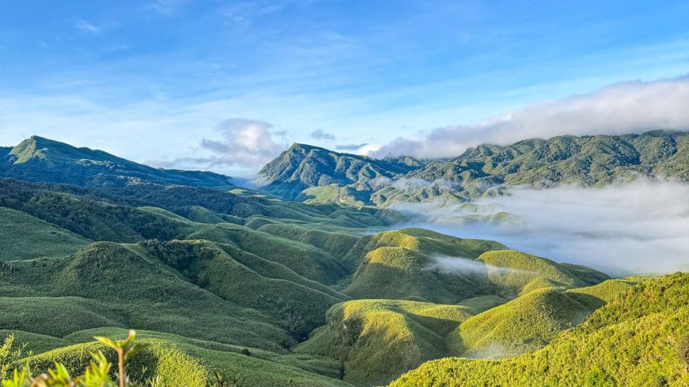 Nagaland Dzukou valley wildfire enters 3rd Day, hits Manipur`s Mount Esii