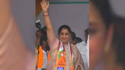 'Uneasy lies the head that…': Sunetra Pawar as Maha Dy CM - What lies ahead?
