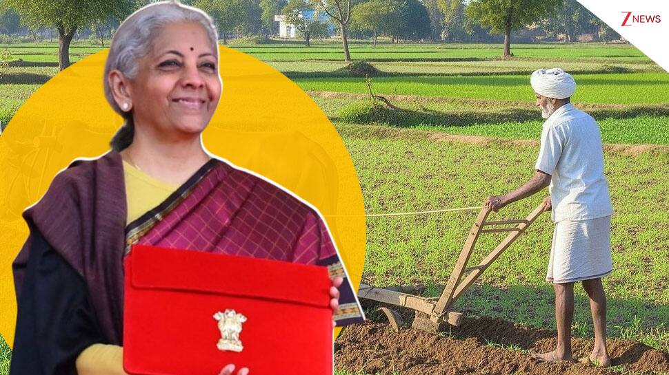 Budget 2026: FM Sitharaman unveils Bharat Vistaar AI platform for farmers