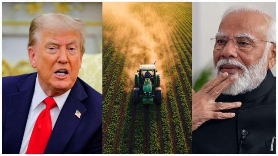 Why farm may still be a thorn in India-US trade deal | Explained
