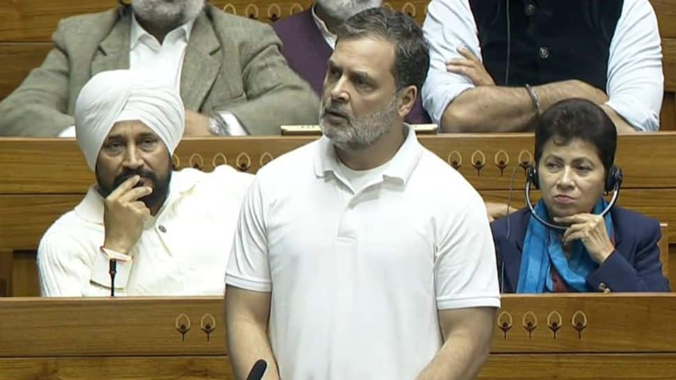 Chaos in Lok Sabha again: LoP Rahul Gandhi cites China article for second day; BJP MPs object