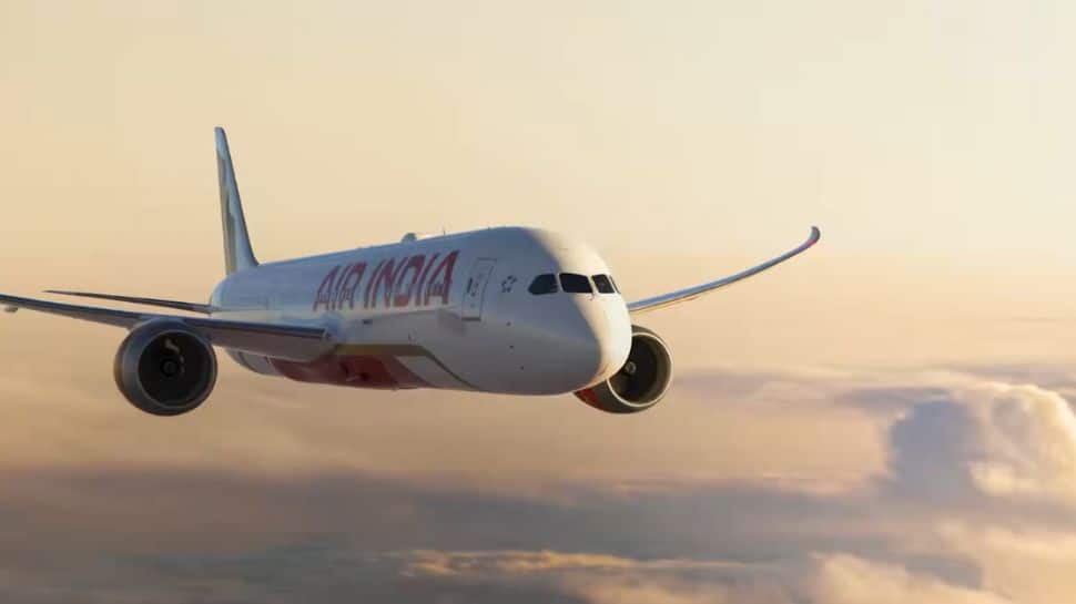 Air India plane's fuel control switches found to be okay: Civil Aviation Ministry