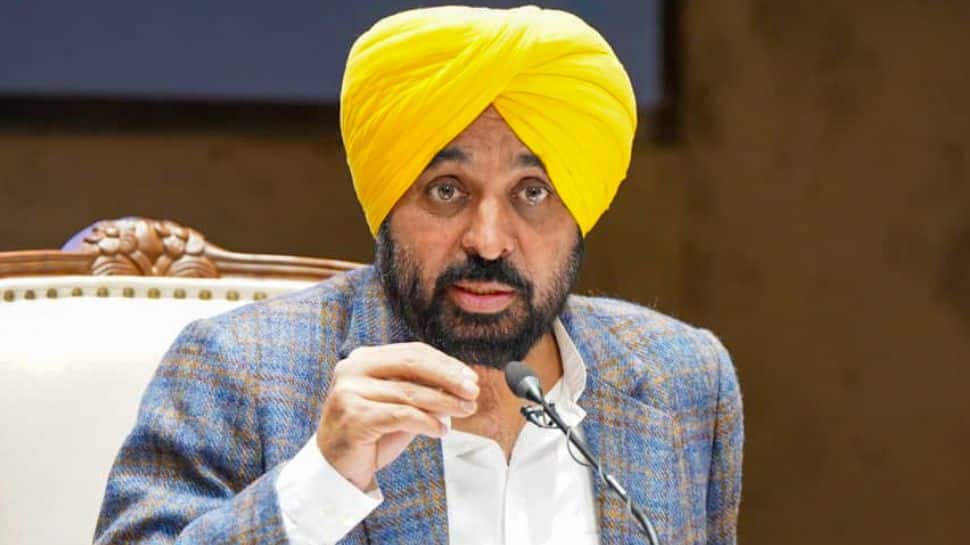Punjab emerging as preferred global investment destination: CM Bhagwant Singh Mann