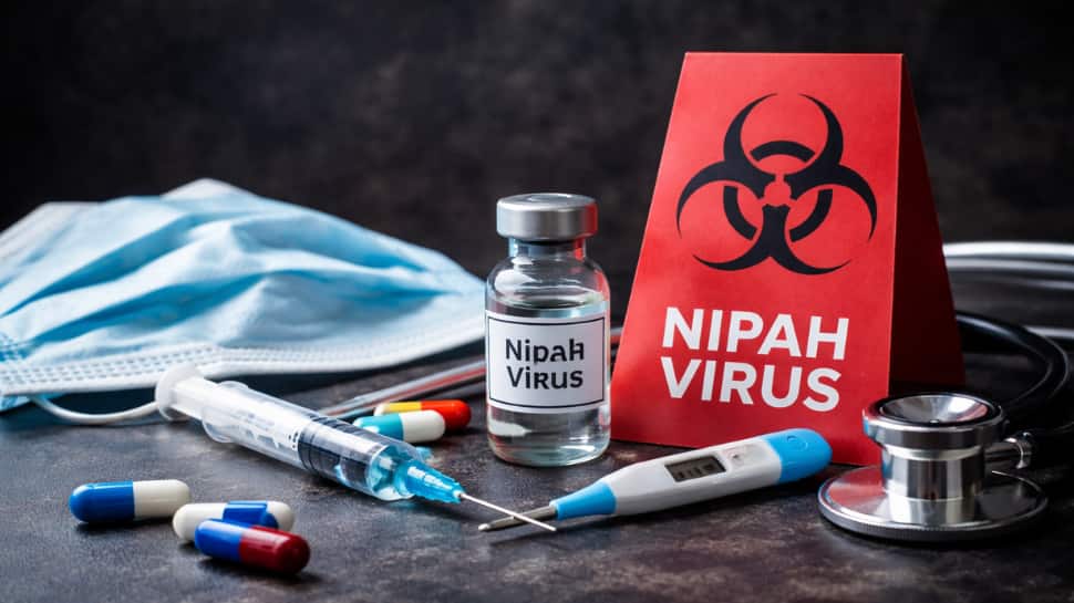 Nipah Virus Alert: 7 common mistakes people make during viral outbreaks that can be dangerous