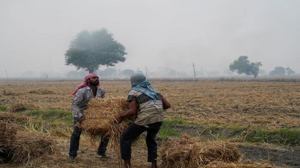 India-US trade deal: The debate over farms and dairy you need to know