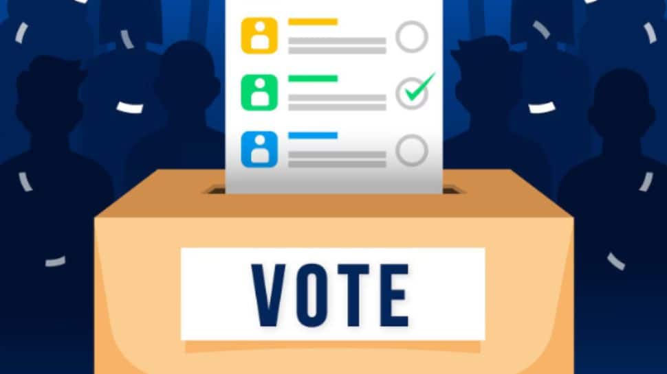 Maharashtra panchayat samiti elections: Feb 7 declared paid holiday for voters