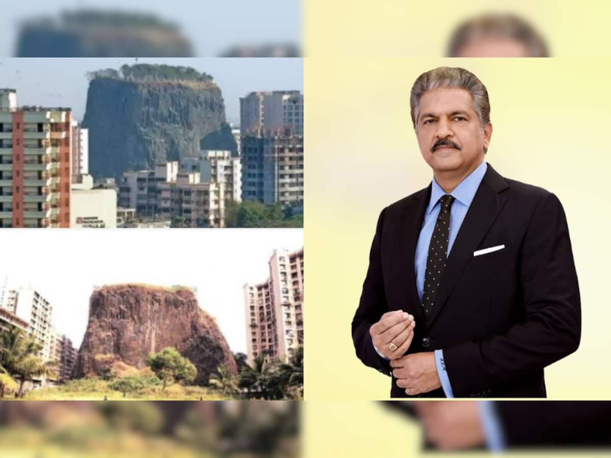 Born in the age of dinosaurs: Mumbai`s 66-million-year-old wonder hiding in plain sight