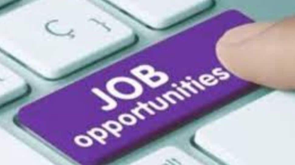 Labour Force Participation Rate spikes to 55.8%, unemployment rate declines: MoSPI data