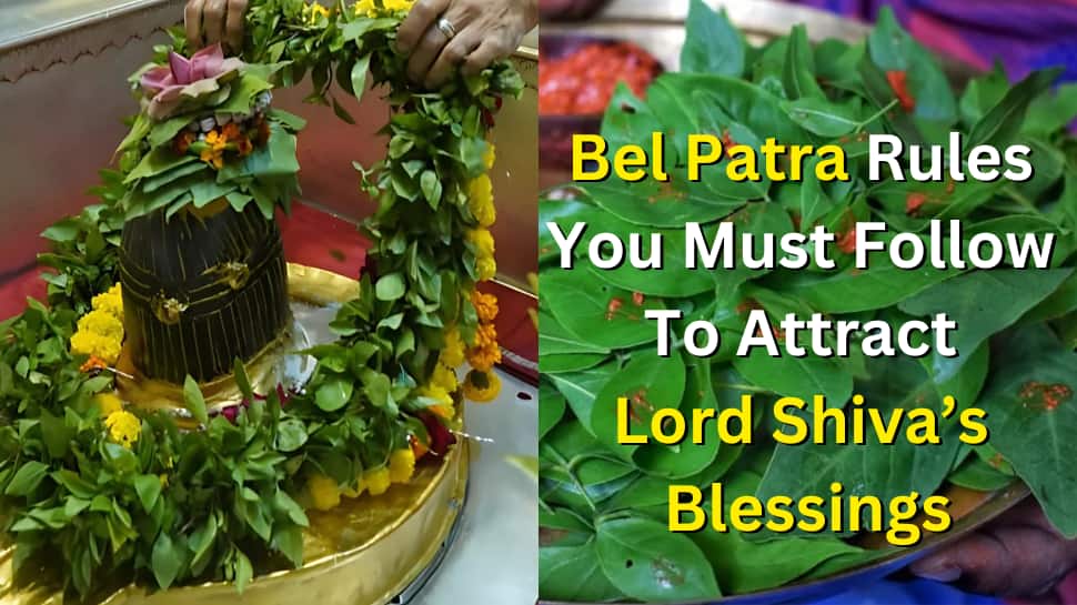 Maha Shivratri 2026: Bel Patra rules you must follow to attract Lord Shiva’s blessings and avoid THESE common mistakes