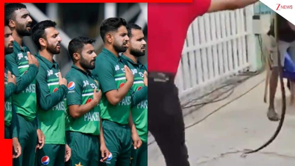 Major safety lapse ahead of IND vs PAK match after snake found in dugout