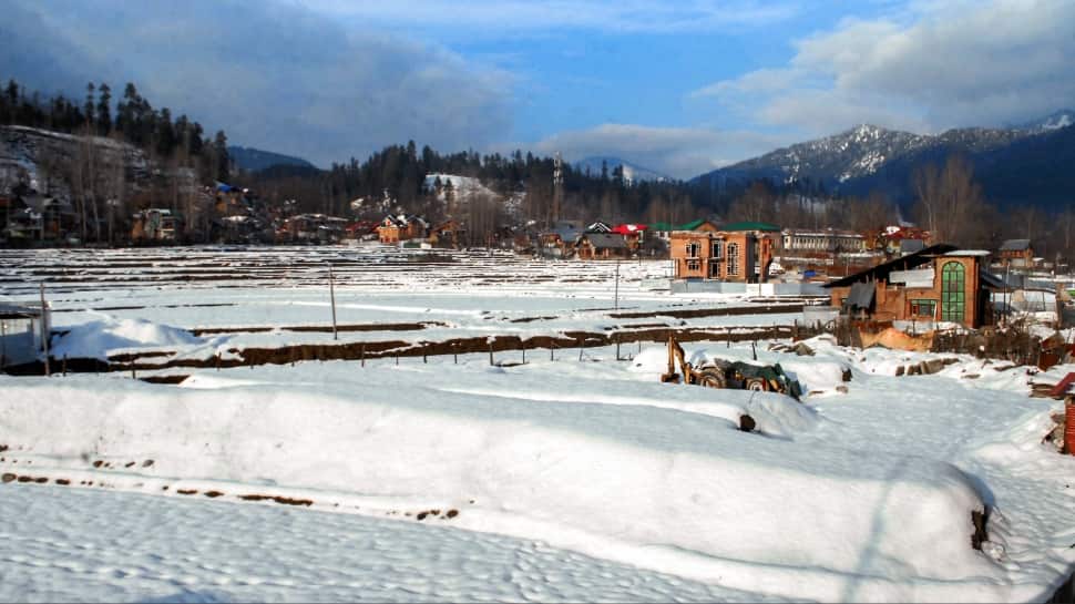 J-K: Falcon Squad, MJF posters spark fear among Kashmiri Pandits in valley