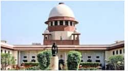 SC says planting more trees only sustainable way to save Delhi's air 